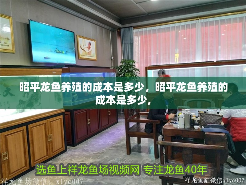 昭平龍魚養殖的成本是多少，昭平龍魚養殖的成本是多少,