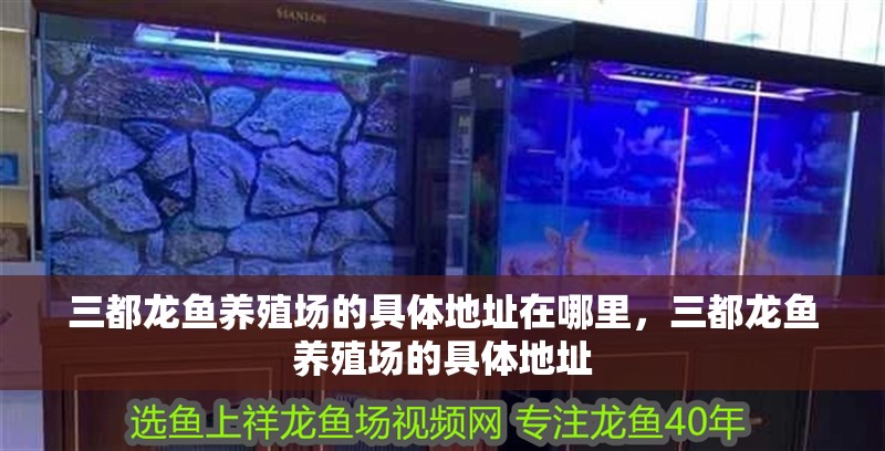 三都龍魚養殖場的具體地址在哪里，三都龍魚養殖場的具體地址