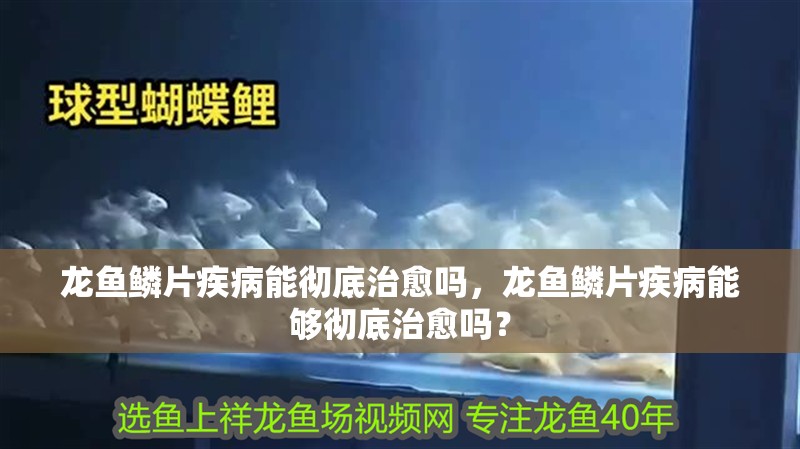龍魚鱗片疾病能徹底治愈嗎，龍魚鱗片疾病能夠徹底治愈嗎？