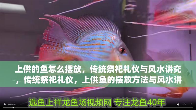 上供的魚怎么擺放，傳統(tǒng)祭祀禮儀與風(fēng)水講究，傳統(tǒng)祭祀禮儀，上供魚的擺放方法與風(fēng)水講究