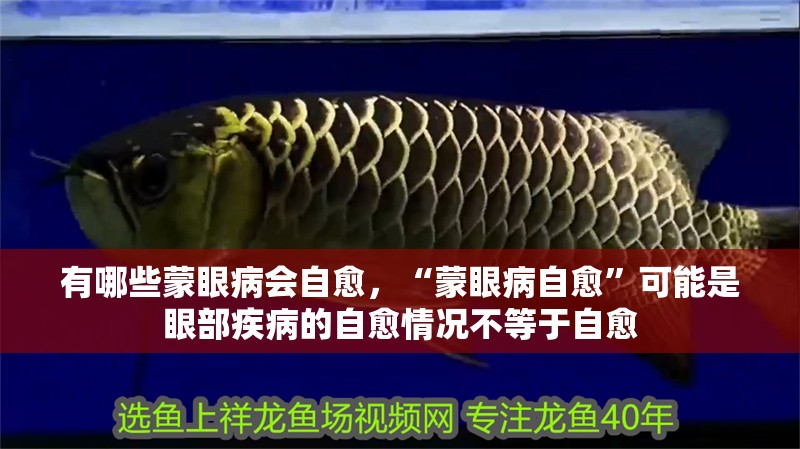 有哪些蒙眼病會自愈，“蒙眼病自愈”可能是眼部疾病的自愈情況不等于自愈