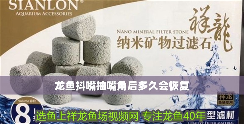 龍魚抖嘴抽嘴角后多久會恢復