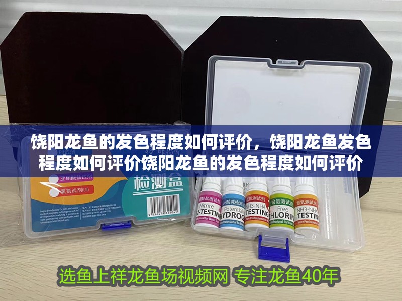 饒陽龍魚的發色程度如何評價，饒陽龍魚發色程度如何評價饒陽龍魚的發色程度如何評價