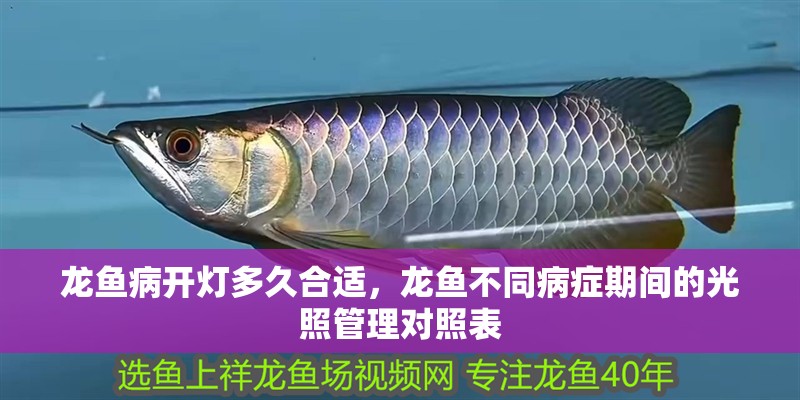 龍魚病開燈多久合適，龍魚不同病癥期間的光照管理對照表