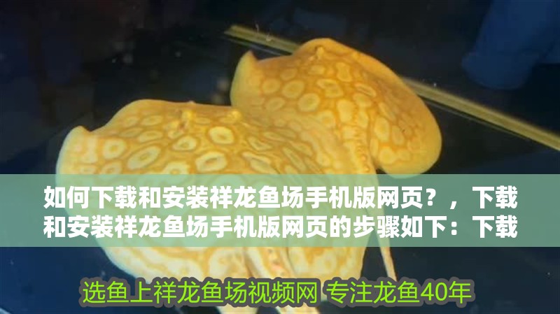 如何下載和安裝祥龍魚(yú)場(chǎng)手機(jī)版網(wǎng)頁(yè)？，下載和安裝祥龍魚(yú)場(chǎng)手機(jī)版網(wǎng)頁(yè)的步驟如下：下載和安裝步驟