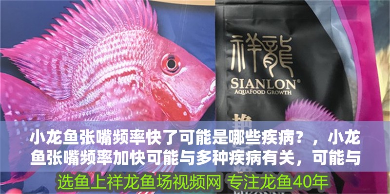 小龍魚張嘴頻率快了可能是哪些疾?。浚↓堲~張嘴頻率加快可能與多種疾病有關，可能與多種疾病有關