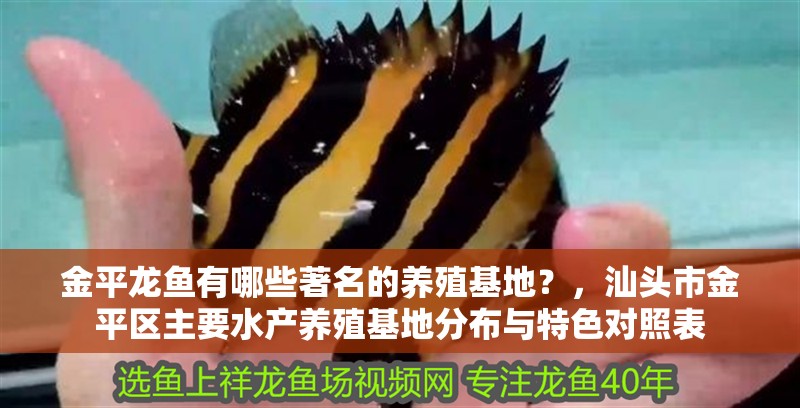 金平龍魚有哪些著名的養殖基地？，汕頭市金平區主要水產養殖基地分布與特色對照表