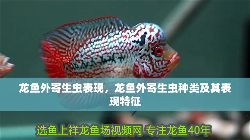 龍魚外寄生蟲表現(xiàn)，龍魚外寄生蟲種類及其表現(xiàn)特征