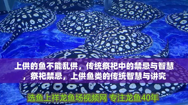 上供的魚不能亂供，傳統祭祀中的禁忌與智慧，祭祀禁忌，上供魚類的傳統智慧與講究 上供的魚不能亂供，傳統祭祀中的禁忌與智慧，祭祀禁忌，上供魚類的傳統智慧與講究 龍魚百科 第1張