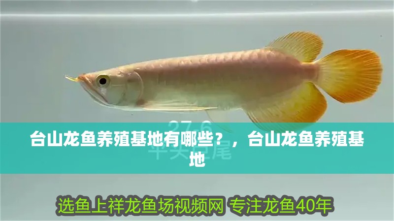 臺山龍魚養殖基地有哪些？，臺山龍魚養殖基地