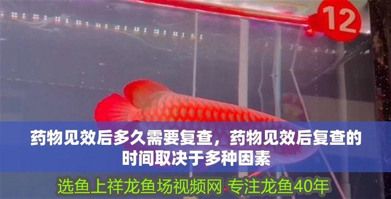 藥物見效后多久需要復查，藥物見效后復查的時間取決于多種因素