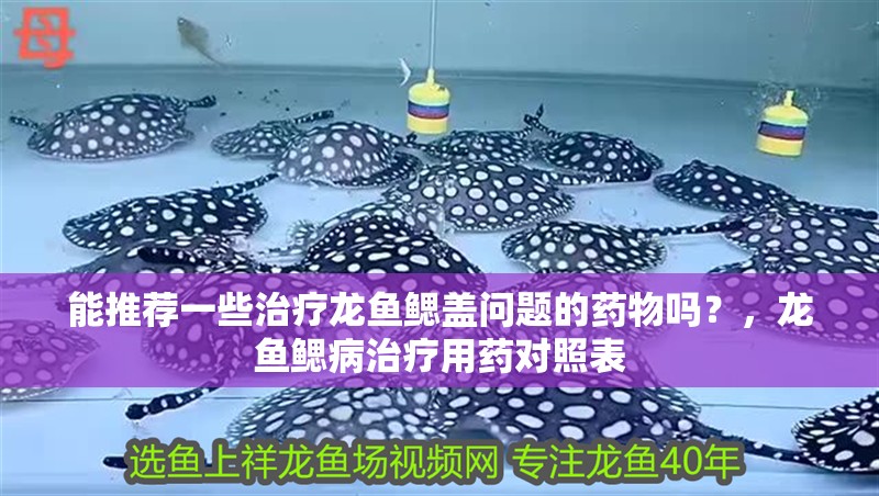 能推薦一些治療龍魚鰓蓋問題的藥物嗎？，龍魚鰓病治療用藥對照表