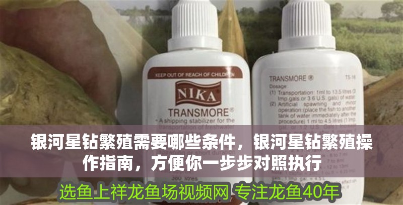銀河星鉆繁殖需要哪些條件，銀河星鉆繁殖操作指南，方便你一步步對照執行