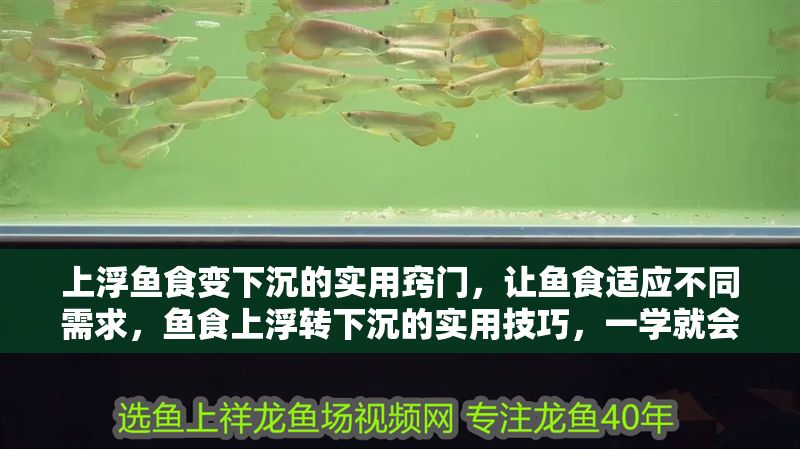 上浮魚食變下沉的實(shí)用竅門，讓魚食適應(yīng)不同需求，魚食上浮轉(zhuǎn)下沉的實(shí)用技巧，一學(xué)就會！