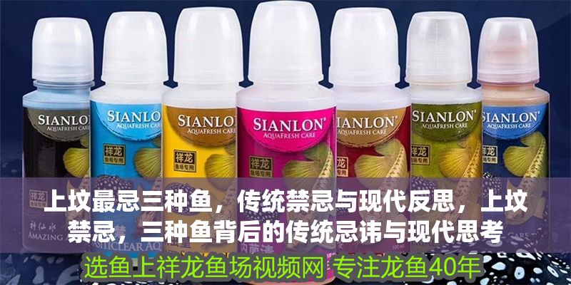 上墳最忌三種魚，傳統(tǒng)禁忌與現(xiàn)代反思，上墳禁忌，三種魚背后的傳統(tǒng)忌諱與現(xiàn)代思考