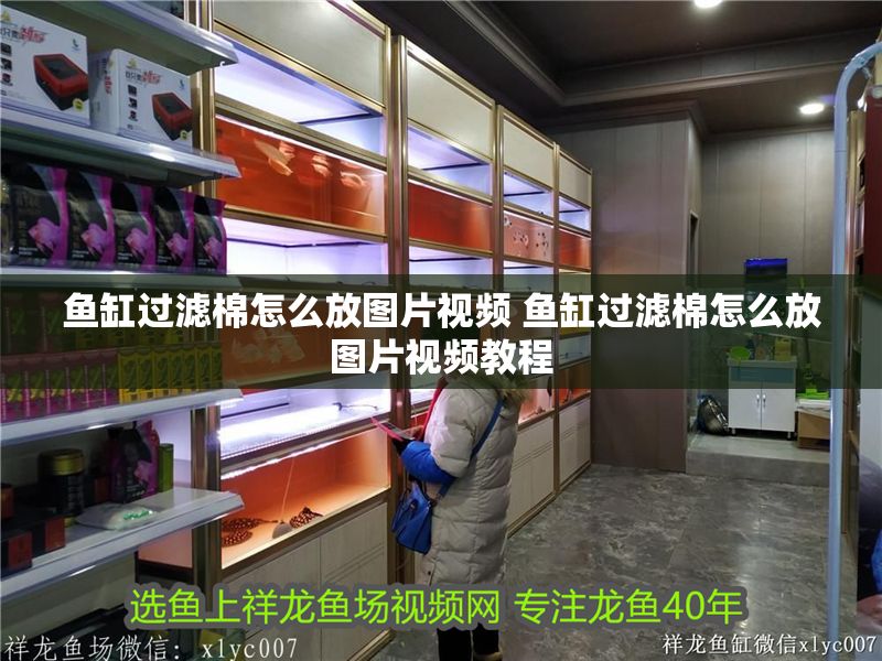 魚缸過濾棉怎么放圖片視頻 魚缸過濾棉怎么放圖片視頻教程