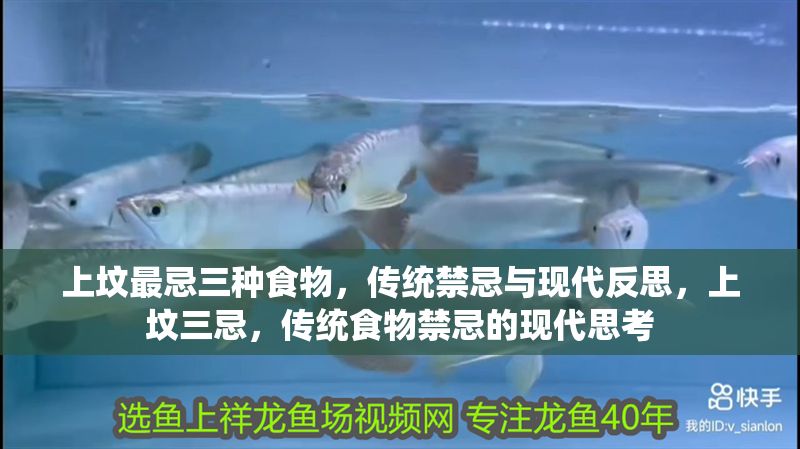 上墳最忌三種食物,傳統(tǒng)禁忌與現(xiàn)代反思,上墳三忌,傳統(tǒng)食物禁忌的現(xiàn)代思考 龍魚百科 第1張 上墳最忌三種食物,傳統(tǒng)禁忌與現(xiàn)代反思,上墳三忌,傳統(tǒng)食物禁忌的現(xiàn)代思考 上墳最忌三種食物,傳統(tǒng)禁忌與現(xiàn)代反思,上墳三忌,傳統(tǒng)食物禁忌的現(xiàn)代思考 龍魚百科 第1張