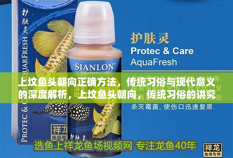 上墳魚頭朝向正確方法,傳統習俗與現代意義的深度解析,上墳魚頭朝向,傳統習俗的講究與現代意義的解讀 龍魚百科 第1張 上墳魚頭朝向正確方法,傳統習俗與現代意義的深度解析,上墳魚頭朝向,傳統習俗的講究與現代意義的解讀 上墳魚頭朝向正確方法,傳統習俗與現代意義的深度解析,上墳魚頭朝向,傳統習俗的講究與現代意義的解讀 龍魚百科 第1張