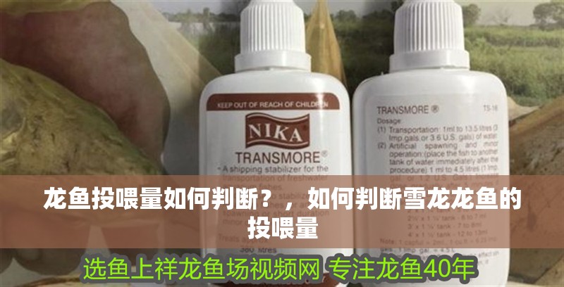 龍魚投喂量如何判斷？，如何判斷雪龍龍魚的投喂量