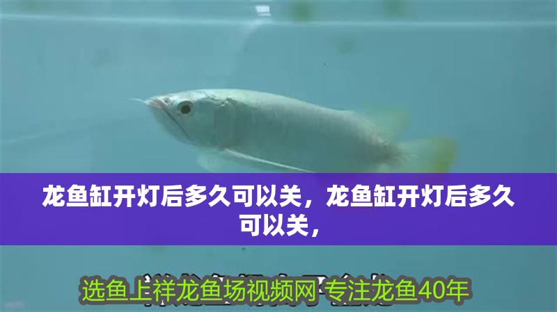 龍魚缸開燈后多久可以關，龍魚缸開燈后多久可以關，