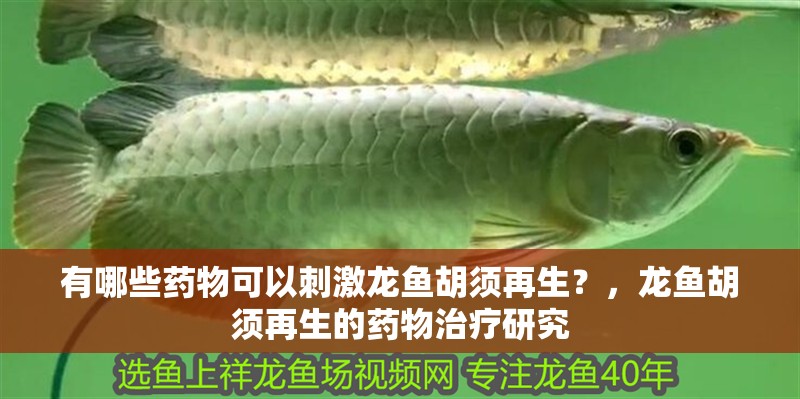 有哪些藥物可以刺激龍魚胡須再生？，龍魚胡須再生的藥物治療研究