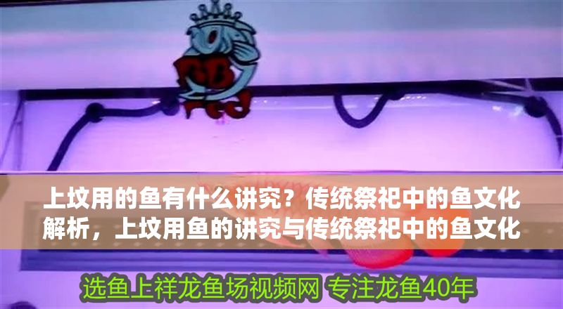 上墳用的魚有什么講究？傳統祭祀中的魚文化解析，上墳用魚的講究與傳統祭祀中的魚文化解析