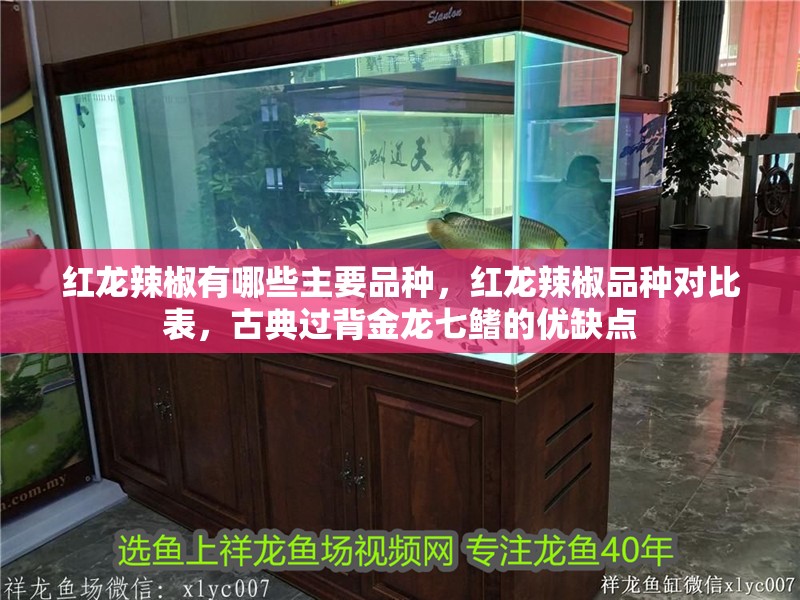 紅龍辣椒有哪些主要品種，紅龍辣椒品種對比表，古典過背金龍七鰭的優(yōu)缺點(diǎn)