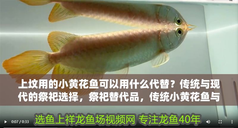 上墳用的小黃花魚可以用什么代替？傳統(tǒng)與現(xiàn)代的祭祀選擇，祭祀替代品，傳統(tǒng)小黃花魚與現(xiàn)代選擇探析