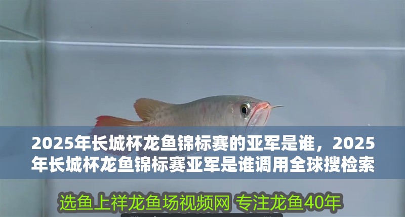 2025年長城杯龍魚錦標賽的亞軍是誰，2025年長城杯龍魚錦標賽亞軍是誰調用全球搜檢索12篇資料