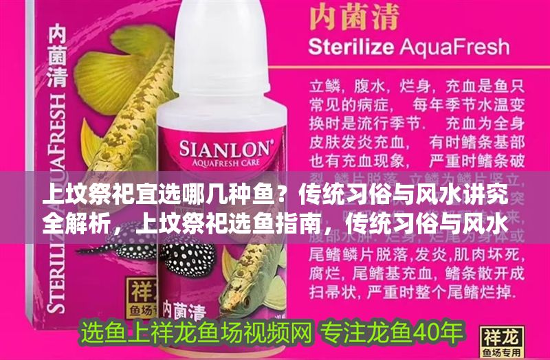 上墳祭祀宜選哪幾種魚？傳統習俗與風水講究全解析，上墳祭祀選魚指南，傳統習俗與風水禁忌全解析