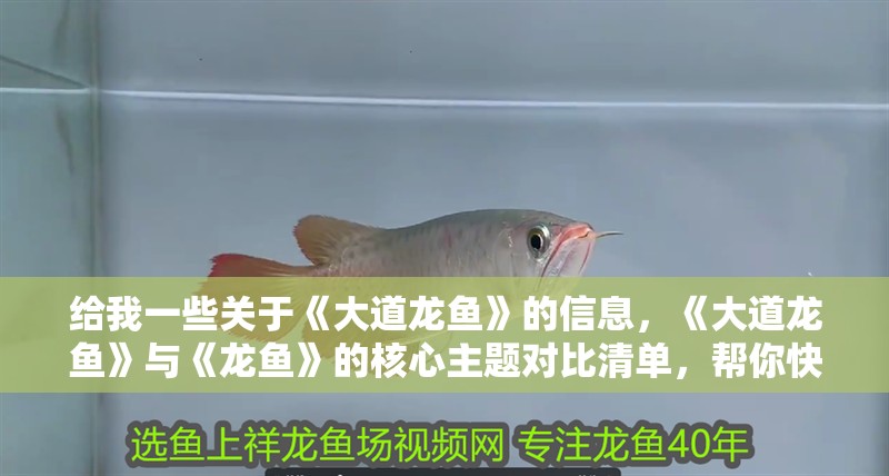 給我一些關(guān)于《大道龍魚》的信息，《大道龍魚》與《龍魚》的核心主題對比清單，幫你快速判斷哪本更合你口味