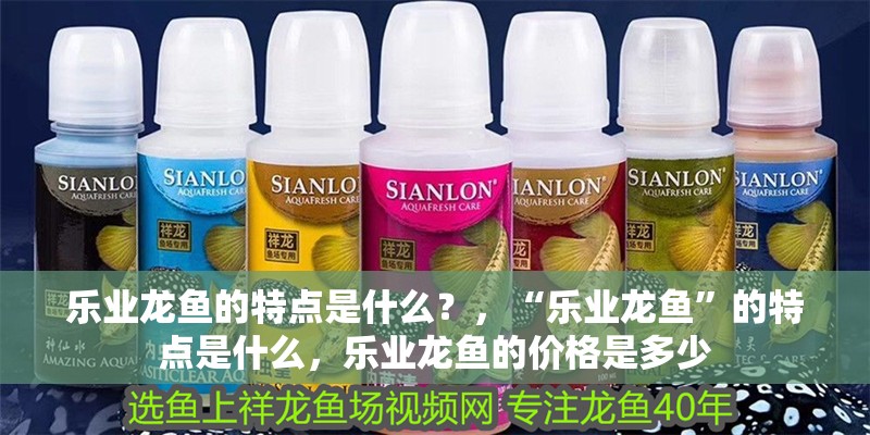 樂業龍魚的特點是什么？，“樂業龍魚”的特點是什么，樂業龍魚的價格是多少