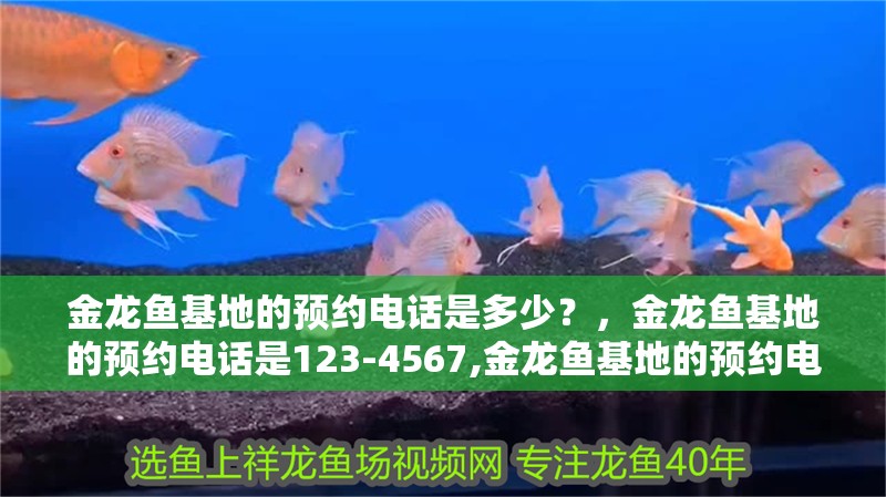 金龍魚基地的預約電話是多少？，金龍魚基地的預約電話是123-4567,金龍魚基地的預約電話是多少