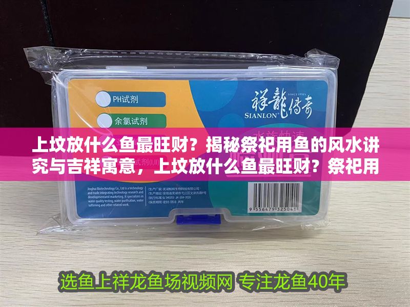 上墳放什么魚最旺財？揭秘祭祀用魚的風水講究與吉祥寓意，上墳放什么魚最旺財？祭祀用魚的風水講究與吉祥寓意全解析