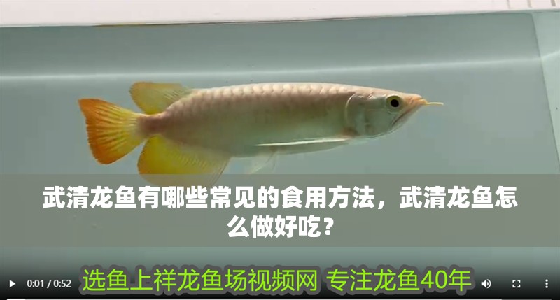 武清龍魚(yú)有哪些常見(jiàn)的食用方法，武清龍魚(yú)怎么做好吃？