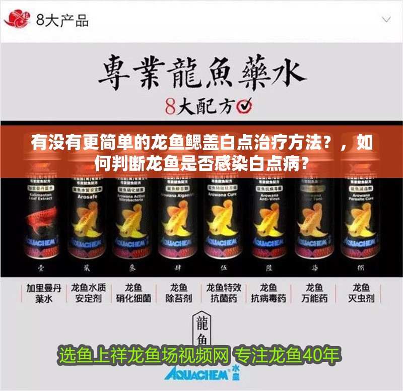 有沒有更簡單的龍魚鰓蓋白點治療方法？，如何判斷龍魚是否感染白點病？