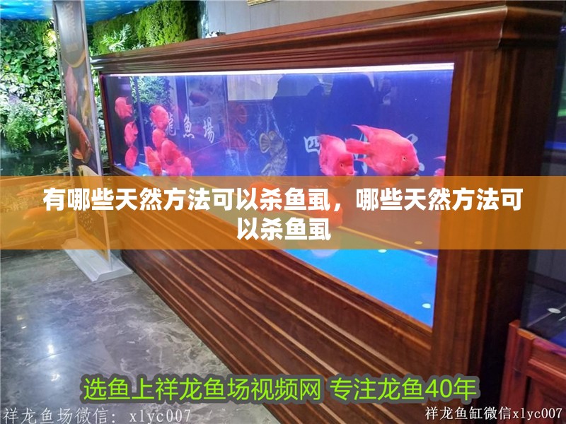 有哪些天然方法可以殺魚虱，哪些天然方法可以殺魚虱