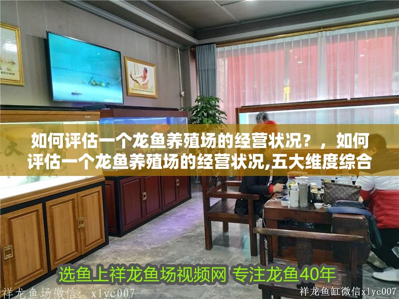 如何評(píng)估一個(gè)龍魚養(yǎng)殖場(chǎng)的經(jīng)營(yíng)狀況?,如何評(píng)估一個(gè)龍魚養(yǎng)殖場(chǎng)的經(jīng)營(yíng)狀況,五大維度綜合判斷
