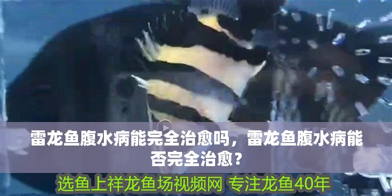 雷龍魚腹水病能完全治愈嗎，雷龍魚腹水病能否完全治愈？