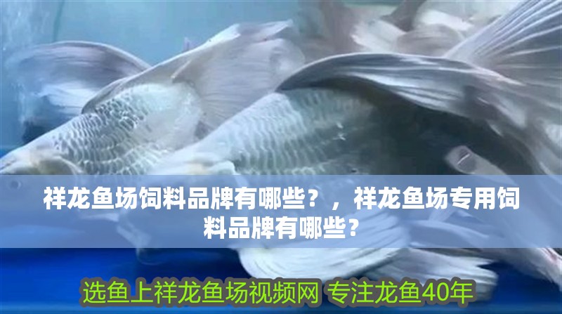 祥龍魚場飼料品牌有哪些？，祥龍魚場專用飼料品牌有哪些？