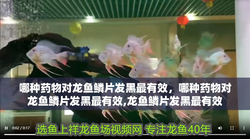 哪種藥物對龍魚鱗片發黑最有效，哪種藥物對龍魚鱗片發黑最有效,龍魚鱗片發黑最有效