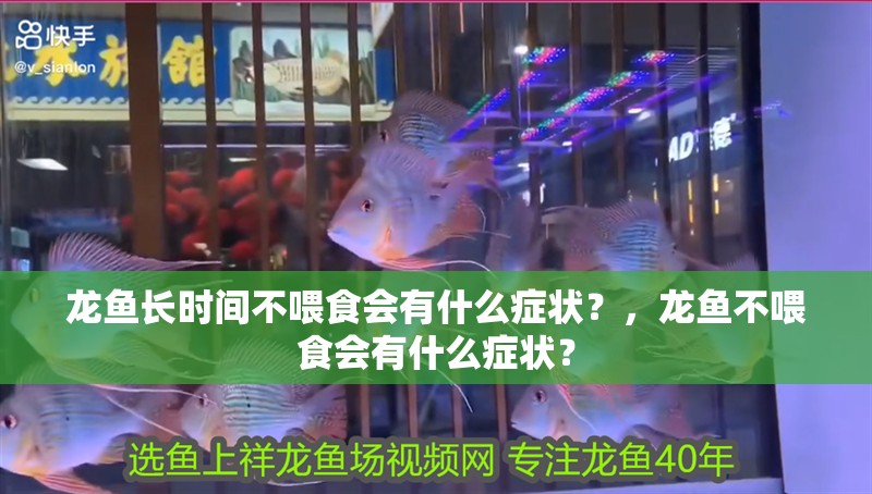 龍魚長時間不喂食會有什么癥狀？，龍魚不喂食會有什么癥狀？