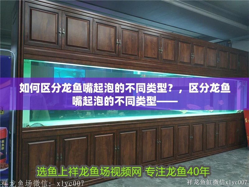 如何區(qū)分龍魚嘴起泡的不同類型？，區(qū)分龍魚嘴起泡的不同類型——