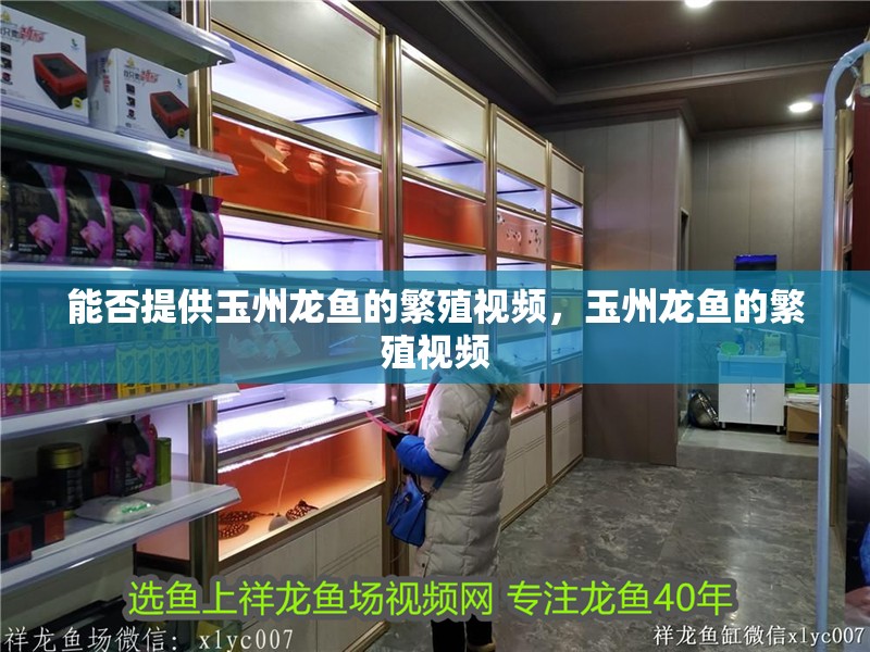 能否提供玉州龍魚的繁殖視頻，玉州龍魚的繁殖視頻