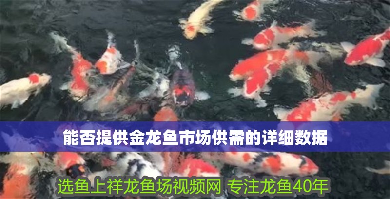 能否提供金龍魚(yú)市場(chǎng)供需的詳細(xì)數(shù)據(jù)