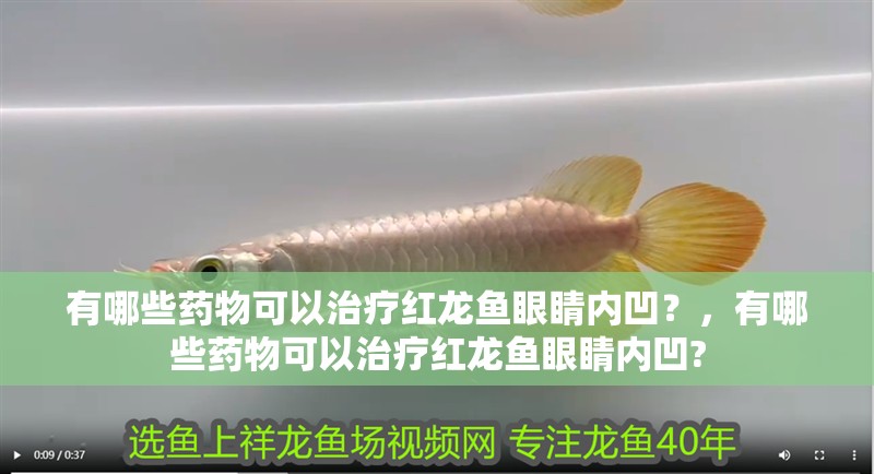 有哪些藥物可以治療紅龍魚眼睛內凹？，有哪些藥物可以治療紅龍魚眼睛內凹?