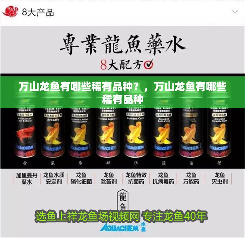 萬山龍魚有哪些稀有品種？，萬山龍魚有哪些稀有品種