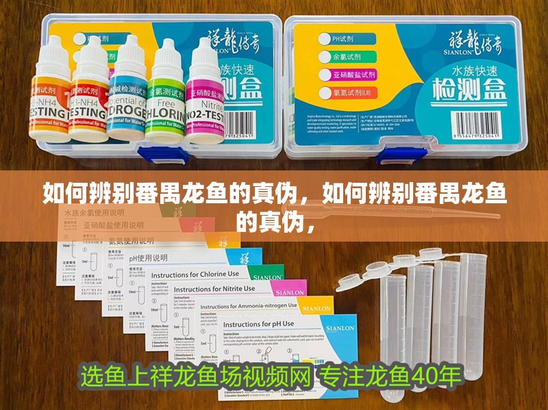 如何辨別番禺龍魚的真偽，如何辨別番禺龍魚的真偽，