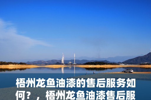 梧州龍魚油漆的售后服務如何？，梧州龍魚油漆售后服務如何？