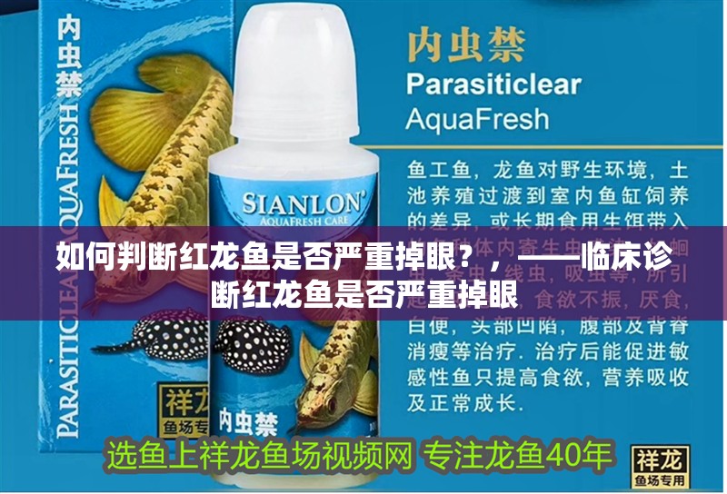 如何判斷紅龍魚是否嚴重掉眼？，——臨床診斷紅龍魚是否嚴重掉眼